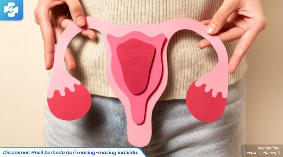 vagina bau 2_5_11zon