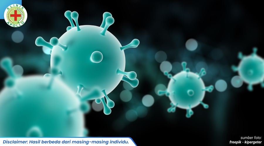 virus herpes genital 1_2_11zon