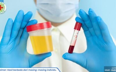 kencing berdarah pada pria 1 - sentosaklinik.com_1_11zon