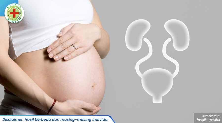 infeksi saluran kemih pada ibu hamil 2_4_11zon